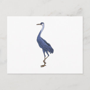 zilverreiger briefkaart