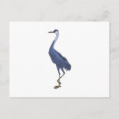 zilverreiger briefkaart (Voorkant)