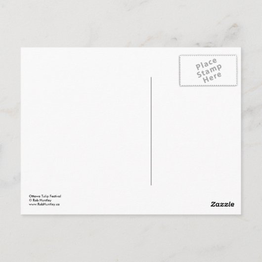 Zilverroze tulpen briefkaart (Achterkant)