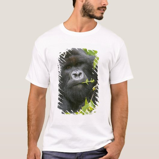 Zilverrugberggorilla T-shirt (Voorkant)