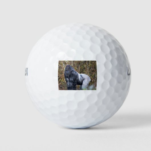 Zilverruggige Golfballen (Voorkant)
