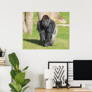 Zilverruggorilla – Een Moment van Macht Poster