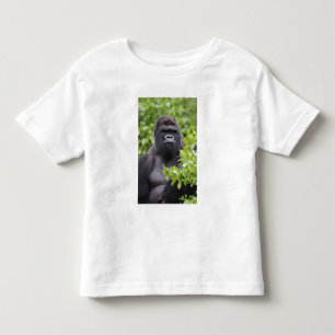Zilverruglaaglandgorilla, Gorilla gorilla, Kinder Shirts