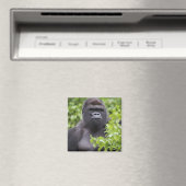Zilverruglaaglandgorilla, Gorilla gorilla, Magneet (Insitu (Vaatwasser))