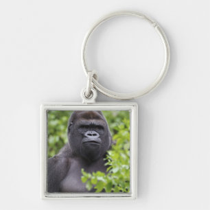 Zilverruglaaglandgorilla, Gorilla gorilla, Sleutelhanger