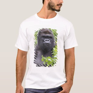 Zilverruglaaglandgorilla, Gorilla gorilla, T-shirt