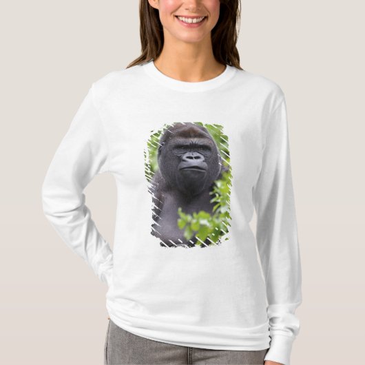 Zilverruglaaglandgorilla, Gorilla gorilla, T-shirt (Voorkant)