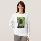 Zilverruglaaglandgorilla, Gorilla gorilla, T-shirt (Voorkant volledig)