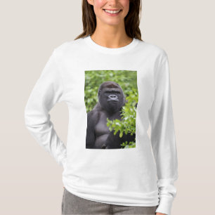 Zilverruglaaglandgorilla, Gorilla gorilla, T-shirt