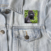 Zilverruglaaglandgorilla, Gorilla gorilla, Vierkante Button 5,1 Cm (In situ)