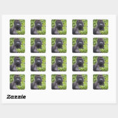 Zilverruglaaglandgorilla, Gorilla gorilla, Vierkante Sticker (Vel)