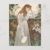 Zilversorroe (m/v op papier) briefkaart (Voorkant)