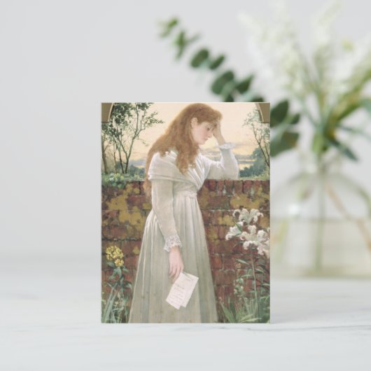 Zilversorroe (m/v op papier) briefkaart (Staand voorkant)