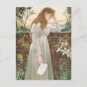 Zilversorroe (m/v op papier) briefkaart