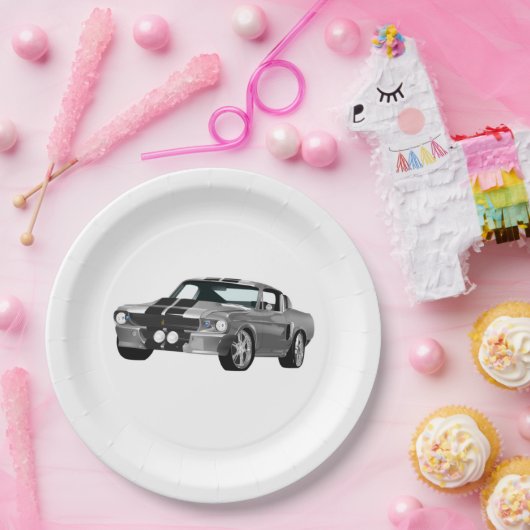 Zilverspieren Papieren Bordje (Feest)