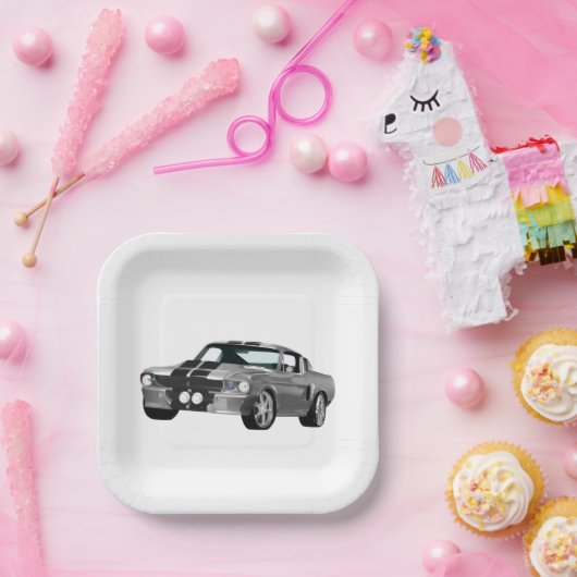 Zilverspieren Papieren Bordje (Feest)