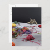 Zilvertabby klimmen over de rand van de tafel briefkaart (Voorkant / Achterkant)