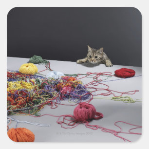 Zilvertabby klimmen over de rand van de tafel vierkante sticker