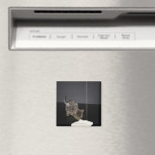 Zilvertabletkat drink crème uit de vloer magneet (Insitu (Vaatwasser))