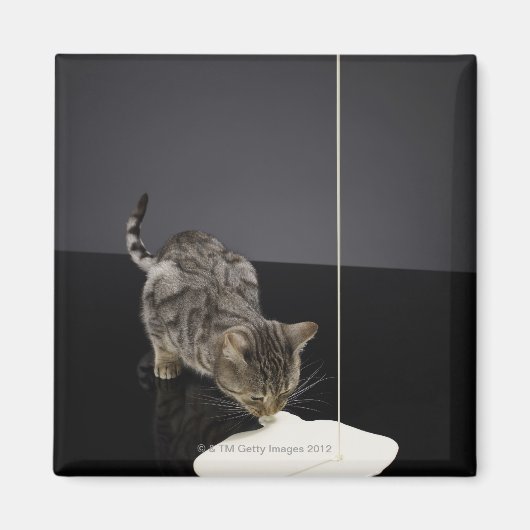Zilvertabletkat drink crème uit de vloer magneet (Voorkant)