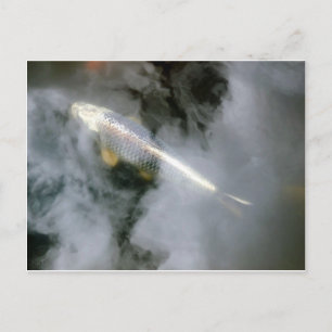 Zilvervis in water en wolken briefkaart