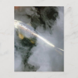 Zilvervis in water en wolken briefkaart