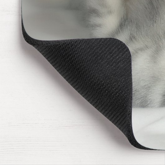 Zilvervlekte kittenmousepad muismat (Hoek)