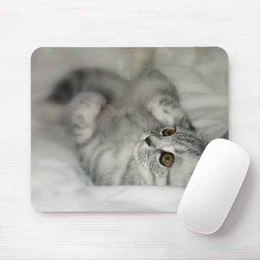 Zilvervlekte kittenmousepad muismat (Met muis)
