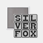 Zilvervos, Bejaarde Don Juan Magneet (Voorkant / Achterkant)