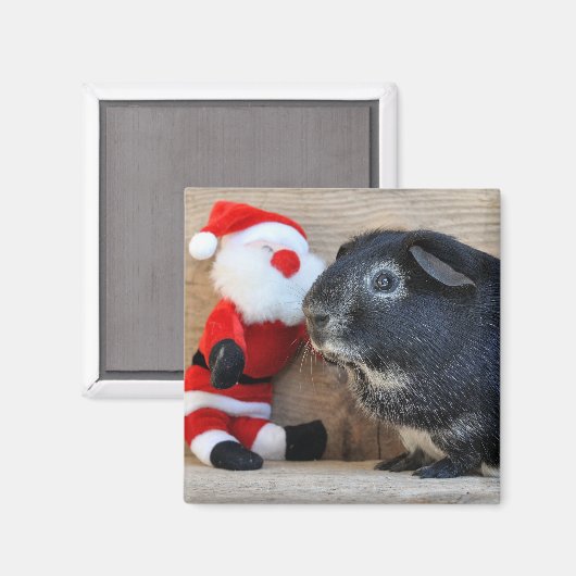 Zilvervos Cavia en Kerstman Magneet (Voorkant / Achterkant)