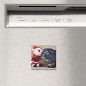 Zilvervos Cavia en Kerstman Magneet (Insitu (Vaatwasser))