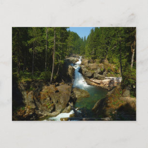 Zilverwaterval in Mount Rainier National Park Briefkaart