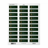 Zilverwaterval in Mount Rainier National Park Etiket (Full Sheet)