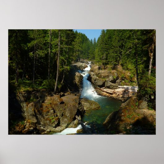 Zilverwaterval in Mount Rainier National Park Poster (Voorkant)