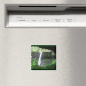 Zilverwatervallenpark Magneet (Insitu (Vaatwasser))