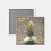 zilverwoord plant magneet (Voorkant / Achterkant)