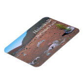 Zilverwoord, Zandduinen, Haleakalā National Park Magneet (Linkerzijde)