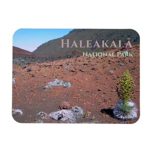 Zilverwoord, Zandduinen, Haleakalā National Park Magneet (Horizontaal)