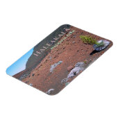 Zilverwoord, Zandduinen, Haleakalā National Park Magneet (Linkerzijde)