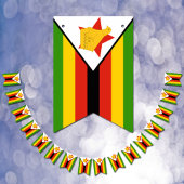 Zimbabwaanse vlag en partij Zimbabwe banners/bruil Vlaggetjes