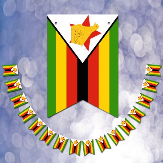 Zimbabwaanse vlag en partij Zimbabwe banners/bruil Vlaggetjes