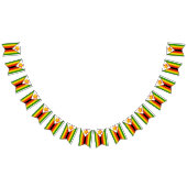 Zimbabwaanse vlag en partij Zimbabwe banners/bruil Vlaggetjes (Alle)