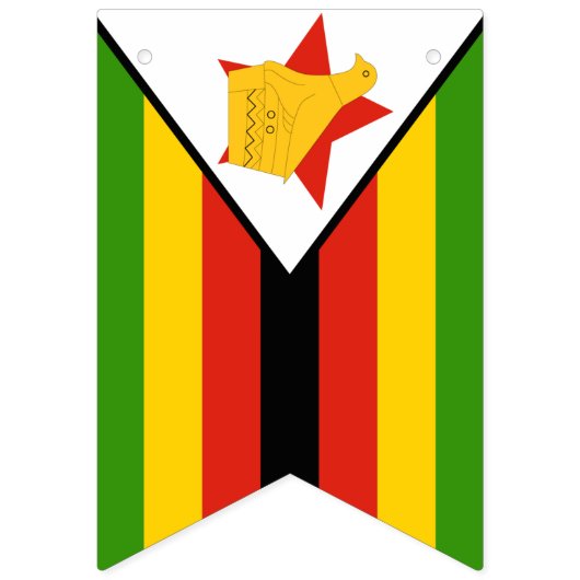 Zimbabwaanse vlag en partij Zimbabwe banners/bruil Vlaggetjes (Eerste vlag)