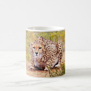 Zimbabwe cheetah Coffee Mok