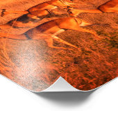 Zimbabwe de pure natuur van de antilope foto afdruk (Hoek)