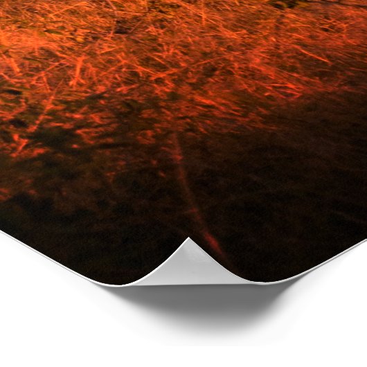 Zimbabwe de pure natuur van de antilope poster (Hoek)