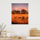 Zimbabwe de pure natuur van de antilope poster (Keuken)