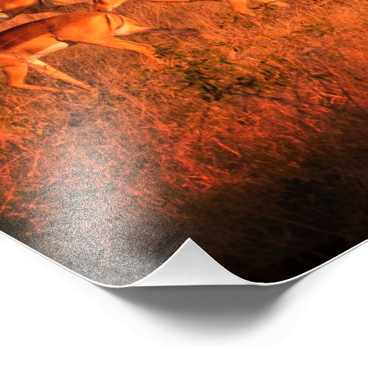 Zimbabwe de pure natuur van het poster tegen de an (Hoek)