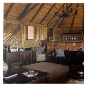 Zimbabwe, Hwange National Park, Linkwasha lodge. Tegeltje
