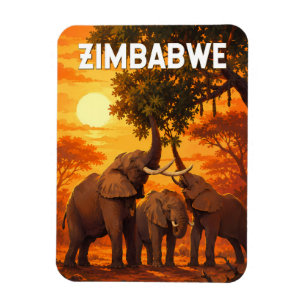 Zimbabwe Illustratie Reis Kunst Vintage Magneet